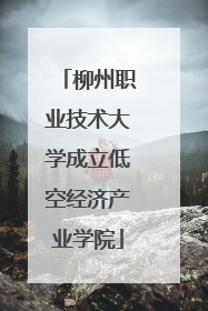 柳州职业技术大学成立低空经济产业学院